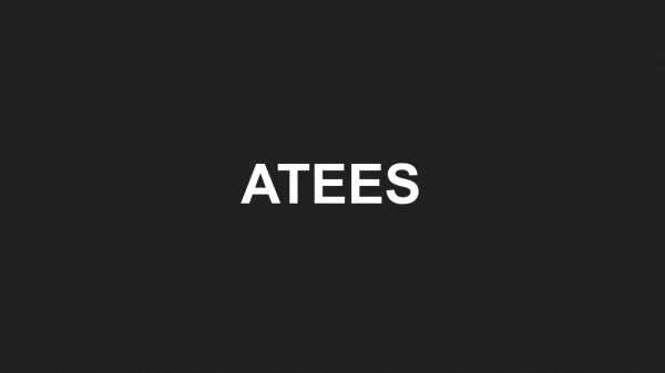 ATEES | Web Design And Development | Digita| Adwords Ppc |