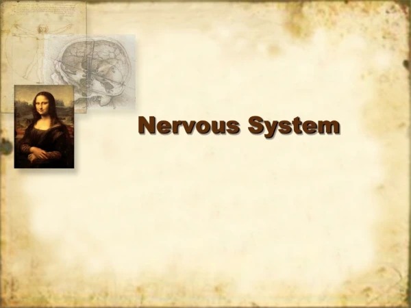 Nervous System