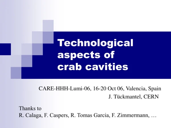 Technological aspects of crab cavities
