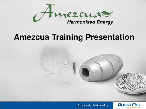 Amezcua Training Presentation