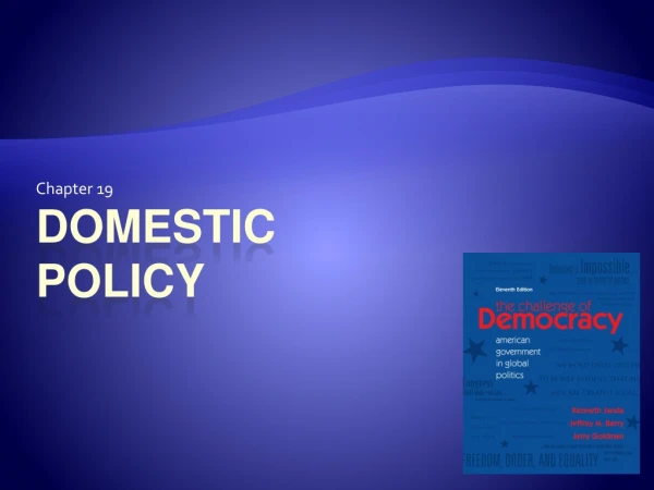 Domestic policy
