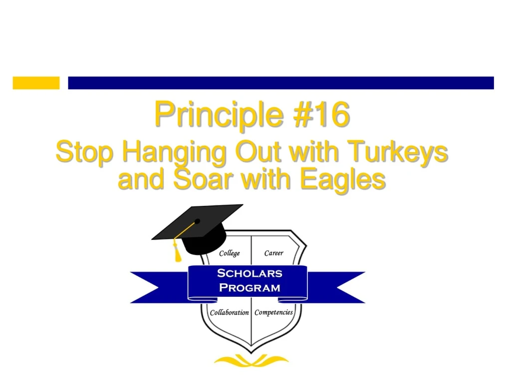 principle 16 stop hanging out with turkeys and soar with eagles