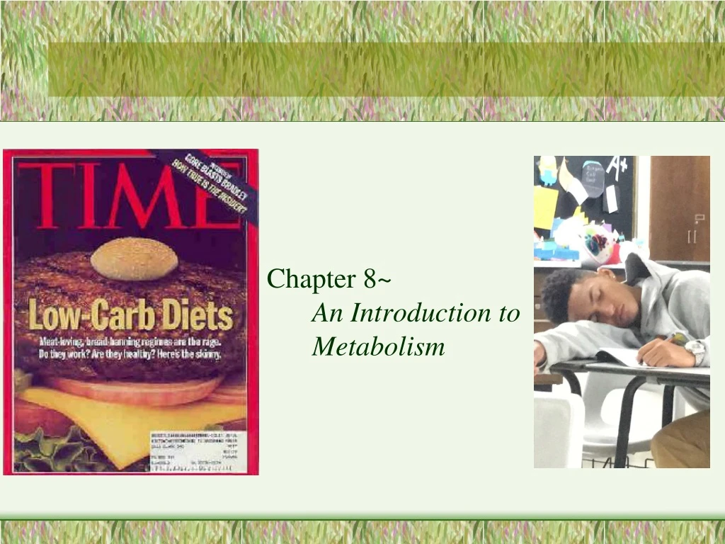 chapter 8 an introduction to metabolism