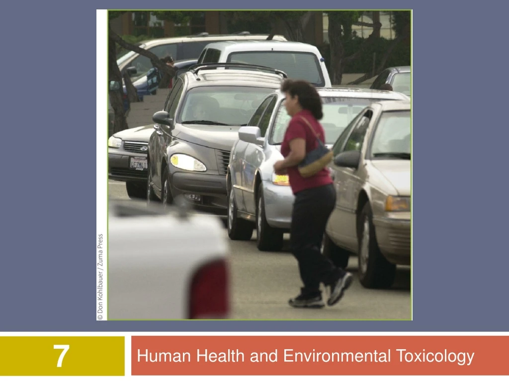 human health and environmental toxicology