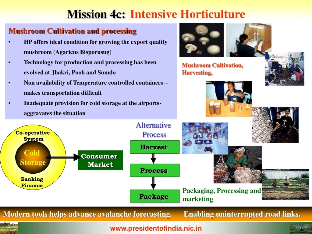 mission 4c intensive horticulture