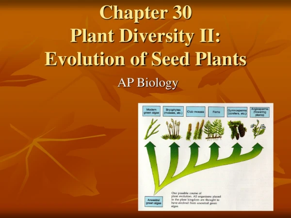 Chapter 30 Plant Diversity II: Evolution of Seed Plants