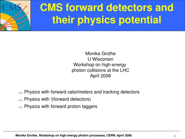 CMS forward detectors and their physics potential