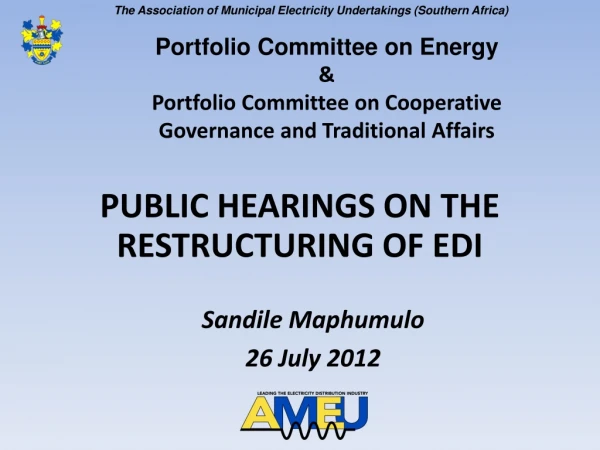PUBLIC HEARINGS ON THE RESTRUCTURING OF EDI
