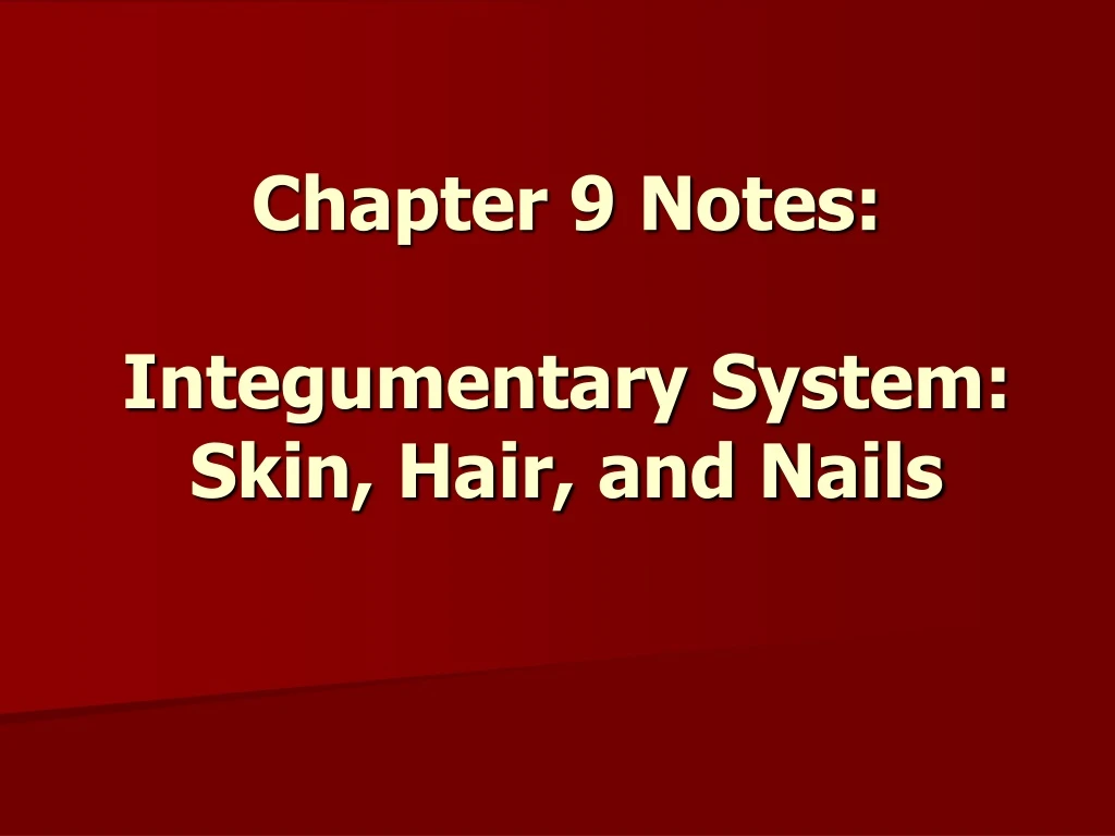 chapter 9 notes integumentary system skin hair and nails
