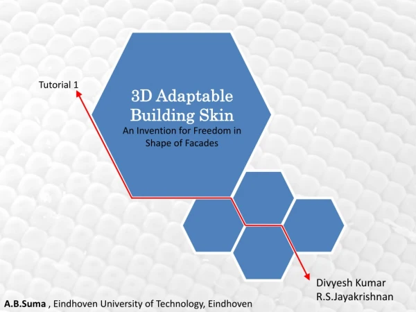 A.B.Suma , Eindhoven University of Technology, Eindhoven