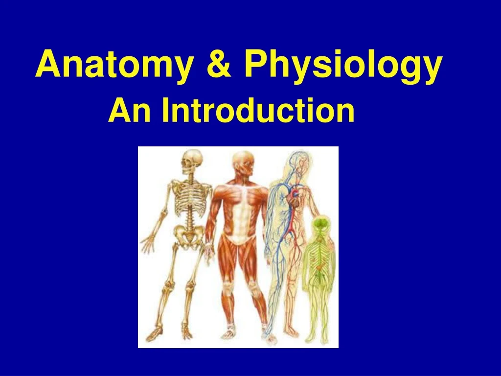 anatomy physiology an introduction
