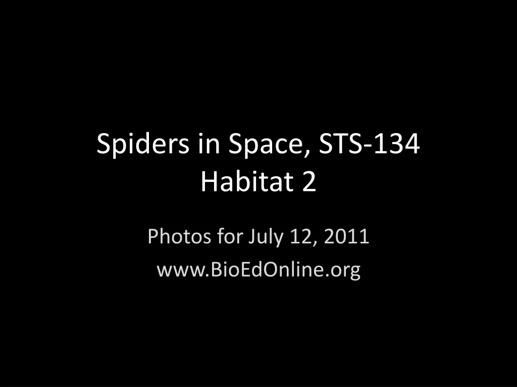 spiders in space sts 134 habitat 2