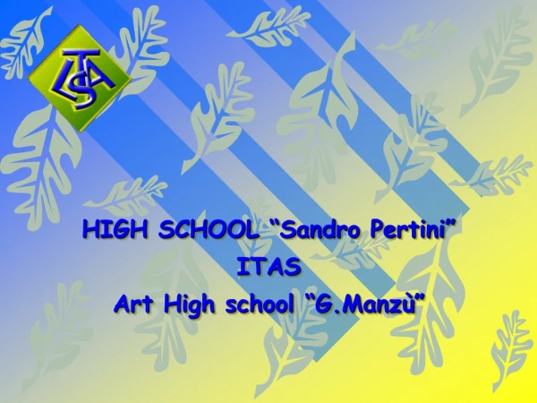 HIGH SCHOOL “Sandro Pertini” ITAS Art High school “G.Manzù”