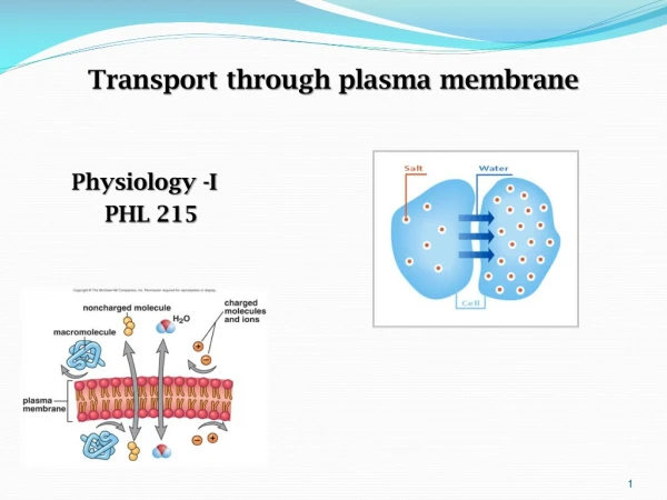 Transport through plasma membrane