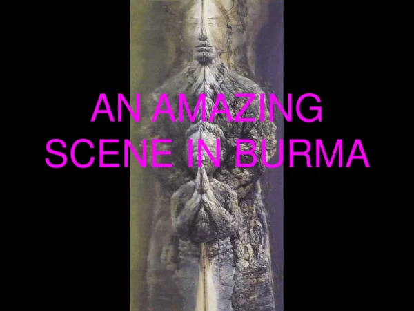 AN AMAZING SCENE IN BURMA