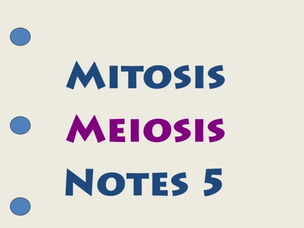 Mitosis Meiosis Notes 5