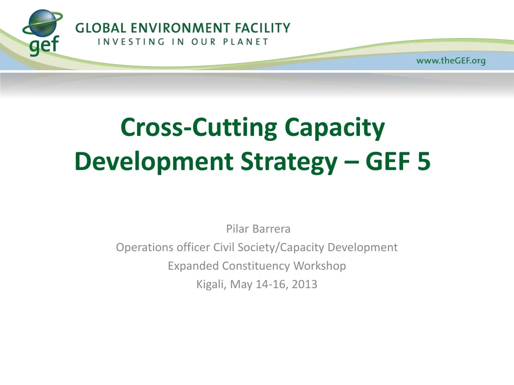 cross cutting capacity development strategy gef 5