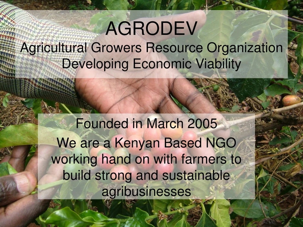 agrodev agricultural growers resource organization developing economic viability