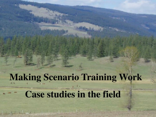Making Scenario Training Work 	Case studies in the field