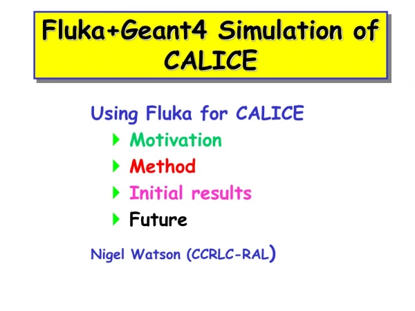 Fluka+Geant4 Simulation of CALICE