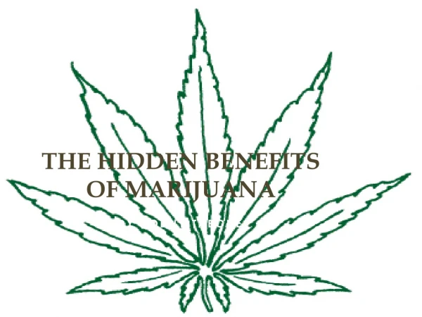 The hidden benefits of marijuana