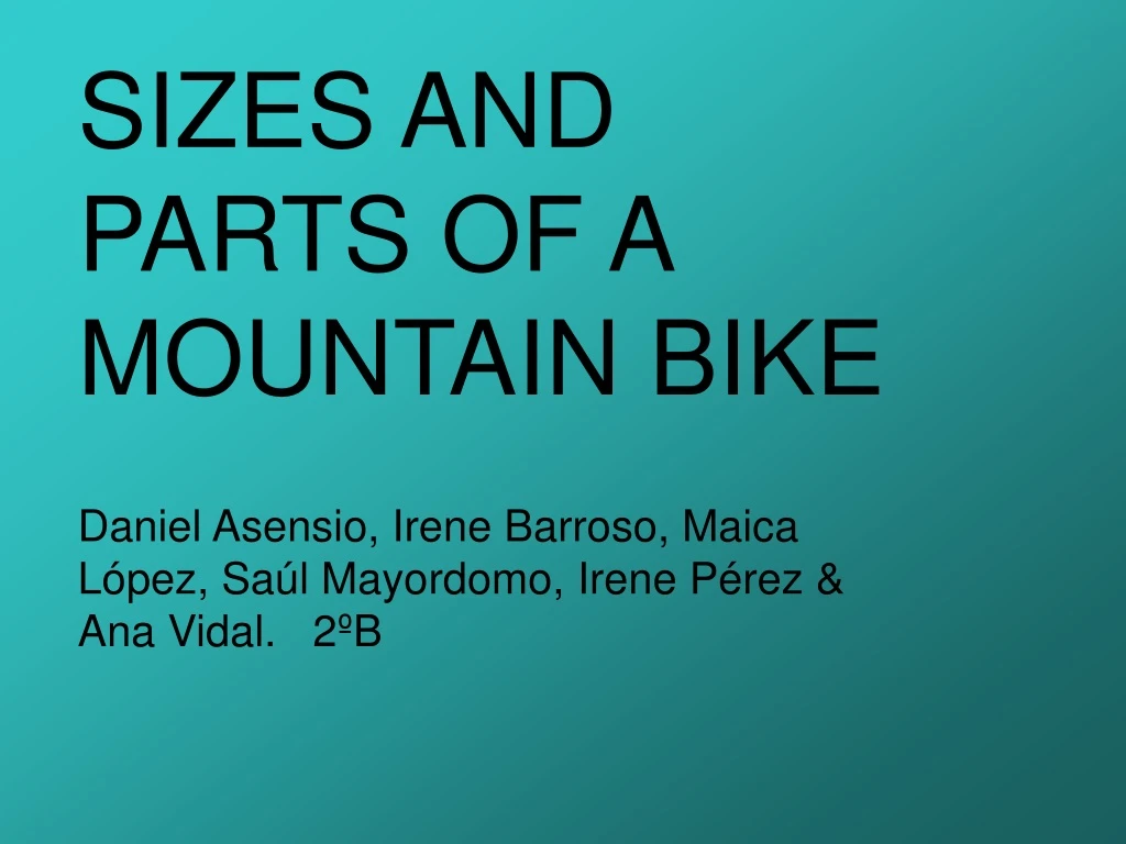 sizes and parts of a mountain bike