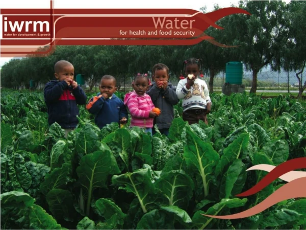 Water for Food Security Jean-Michel Arnoult FAO Adviser to Department: Agriculture