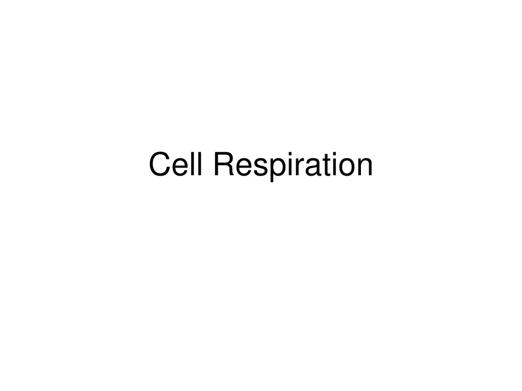 cell respiration