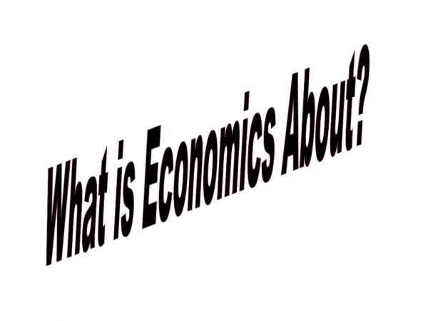What is Economics About?
