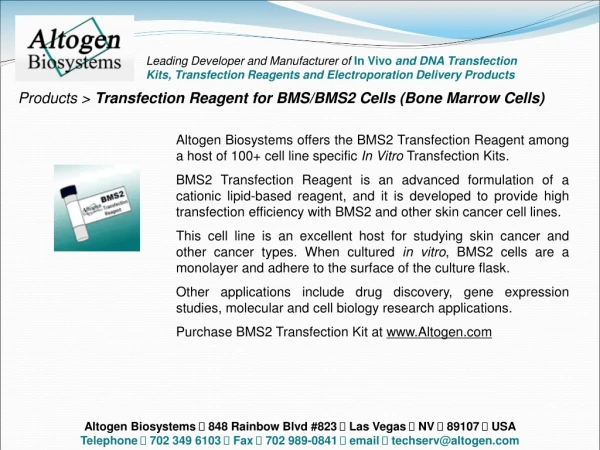 Products &gt; Transfection Reagent for BMS/BMS2 Cells (Bone Marrow Cells)