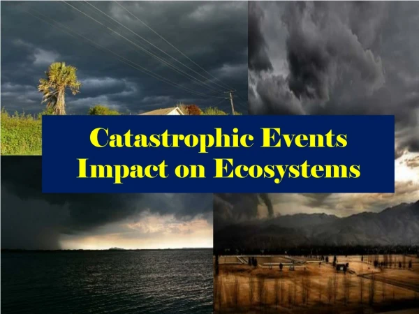Catastrophic Events Impact on Ecosystems