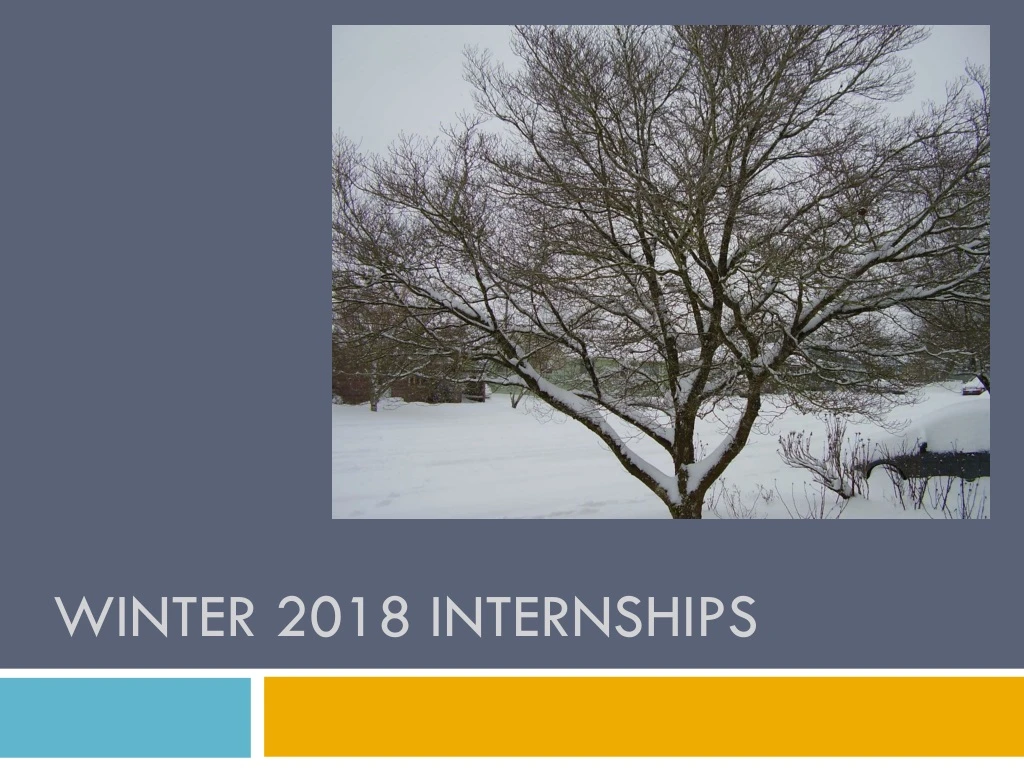 winter 2018 internships