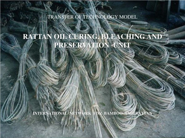 TRANSFER OF TECHNOLOGY MODEL RATTAN OIL CURING, BLEACHING AND PRESERVATION UNIT