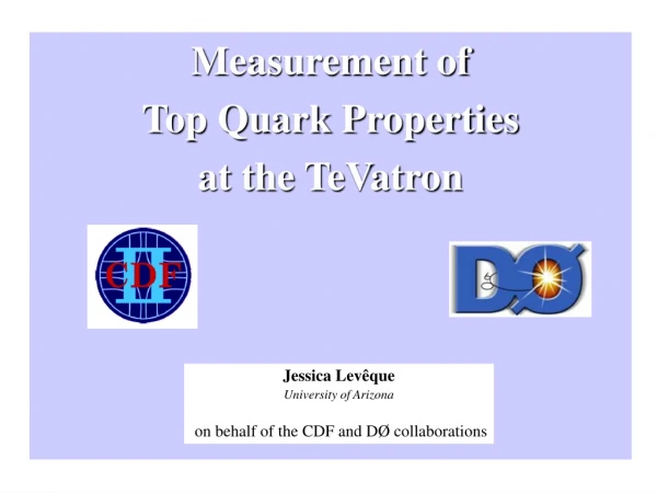 Measurement of Top Quark Properties at the TeVatron