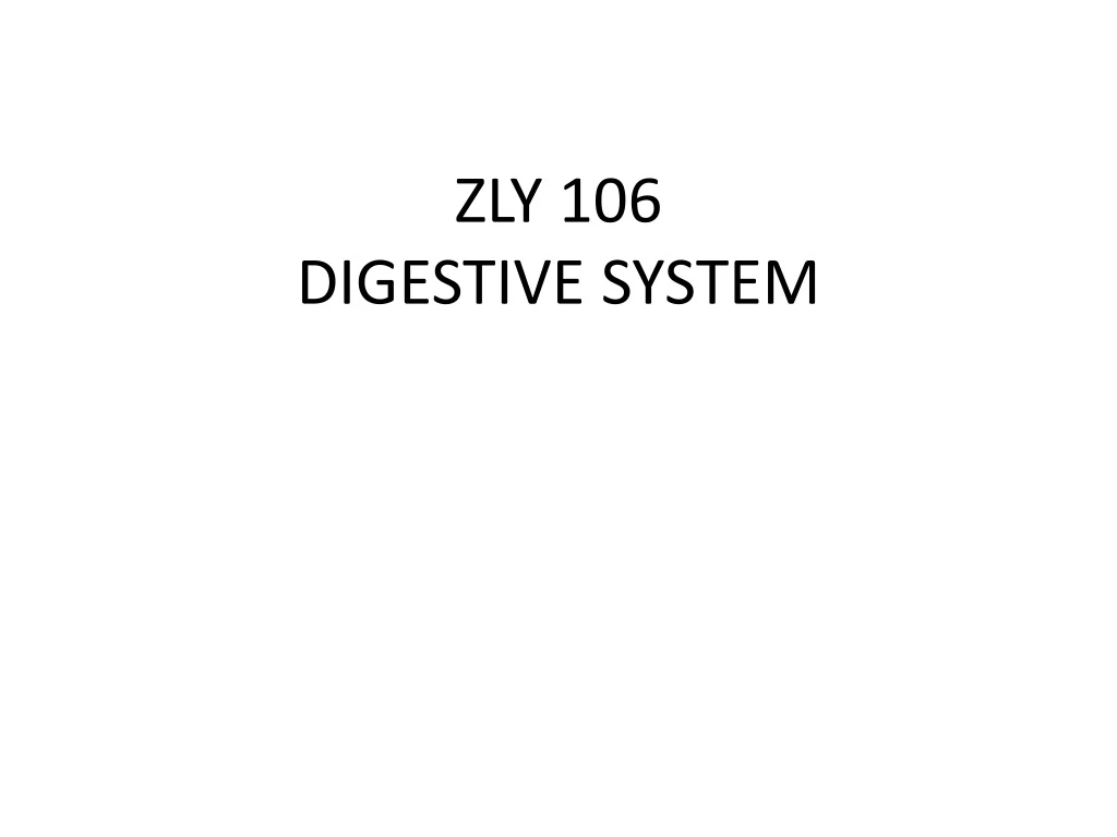 zly 106 digestive system