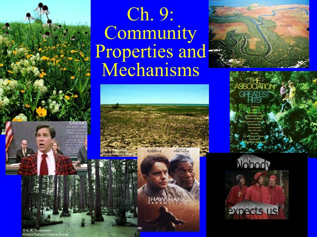 ch 9 community properties and mechanisms