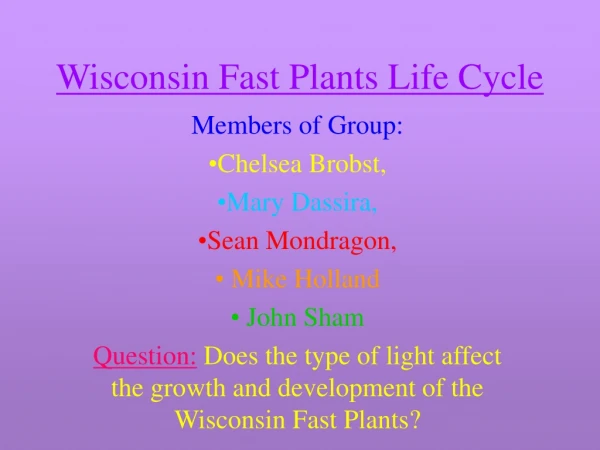 Wisconsin Fast Plants Life Cycle