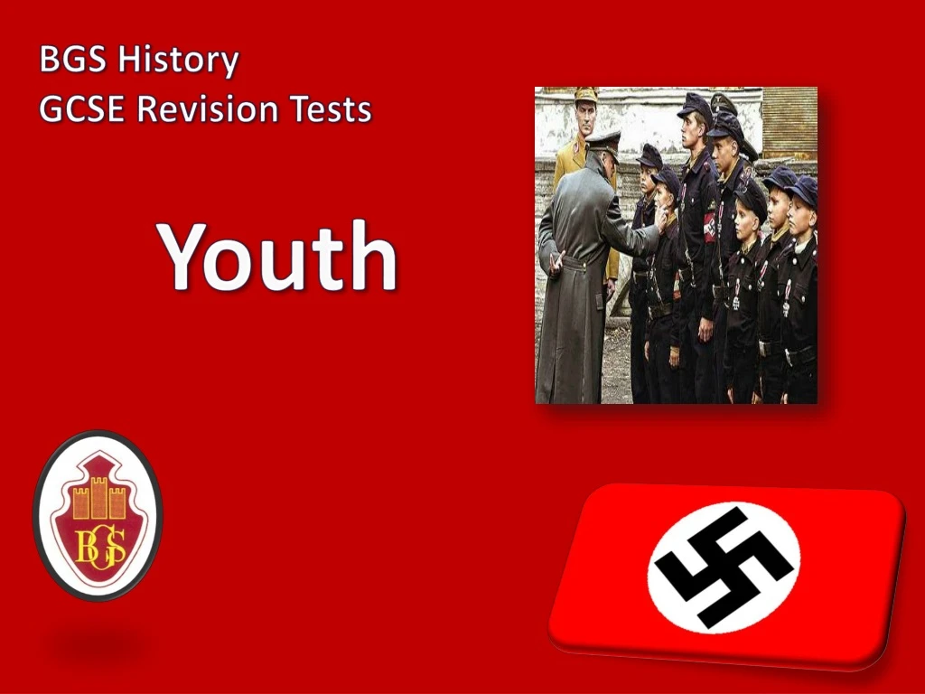 bgs history gcse revision tests