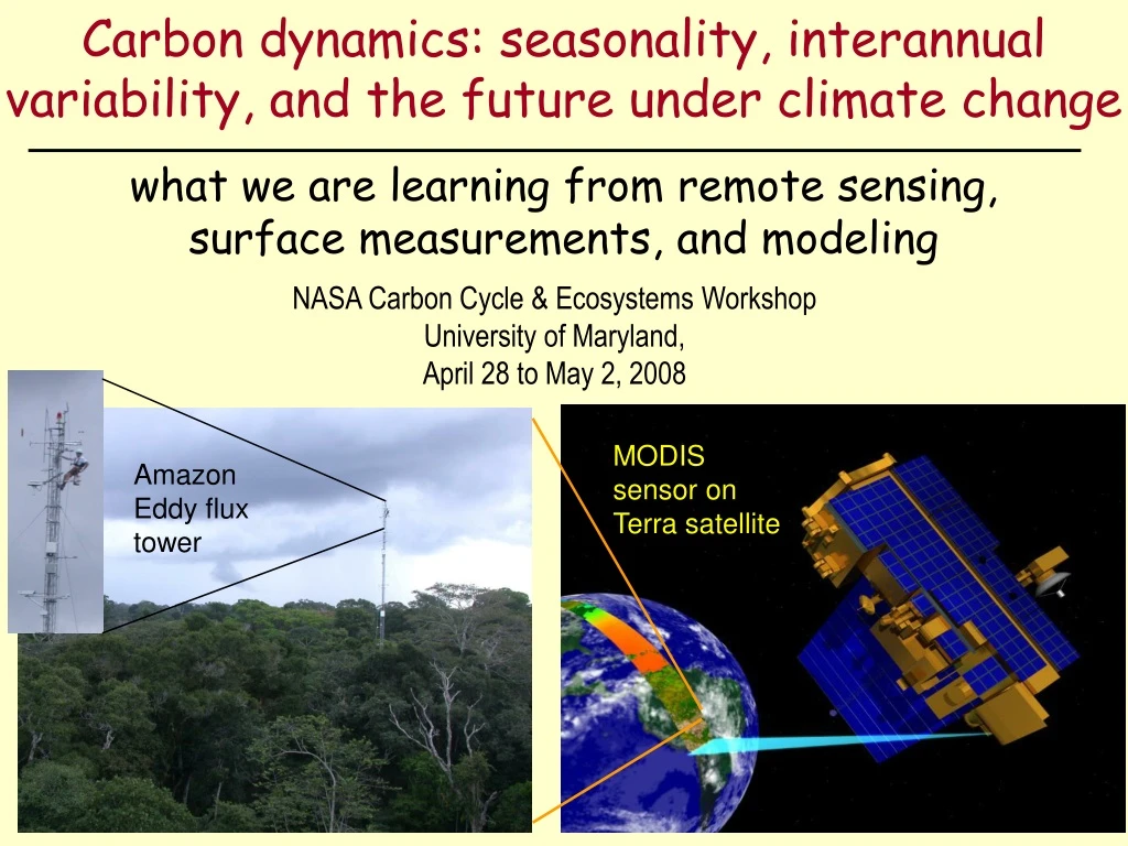 carbon dynamics seasonality interannual variability and the future under climate change