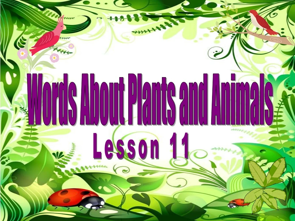 words about plants and animals