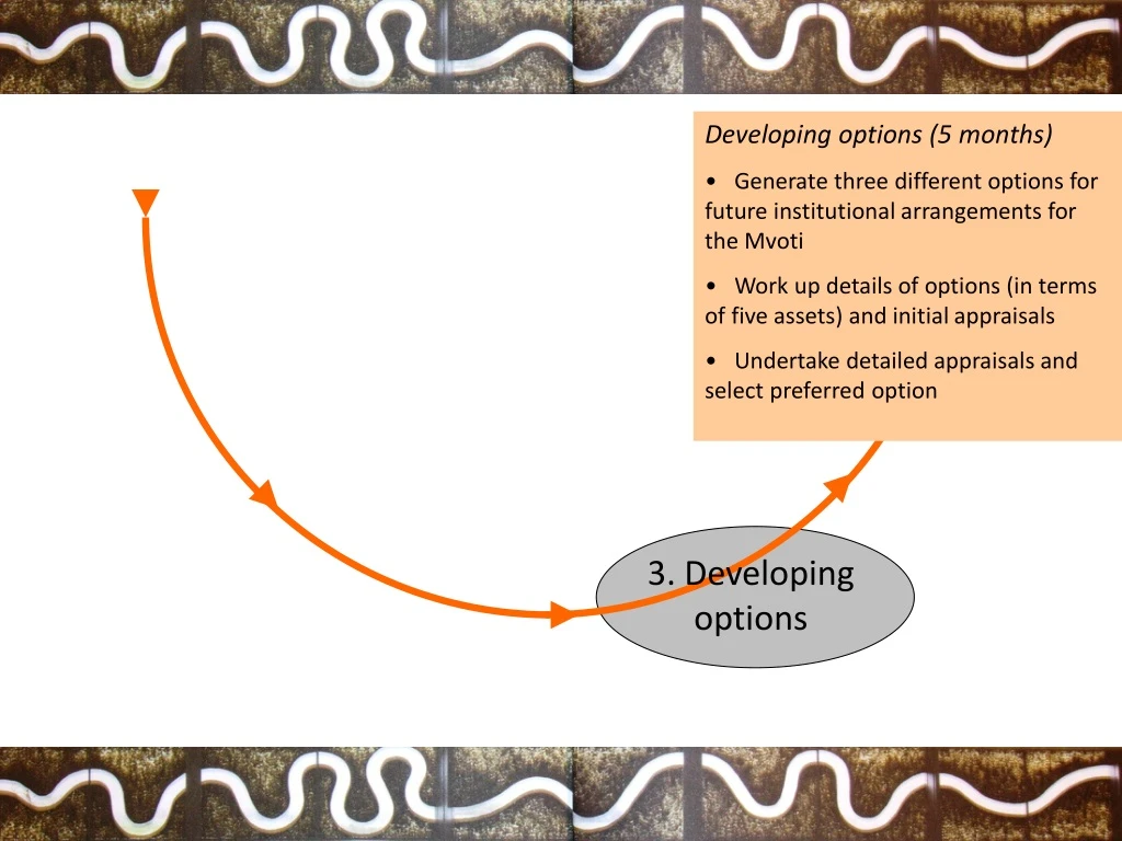 developing options 5 months generate three