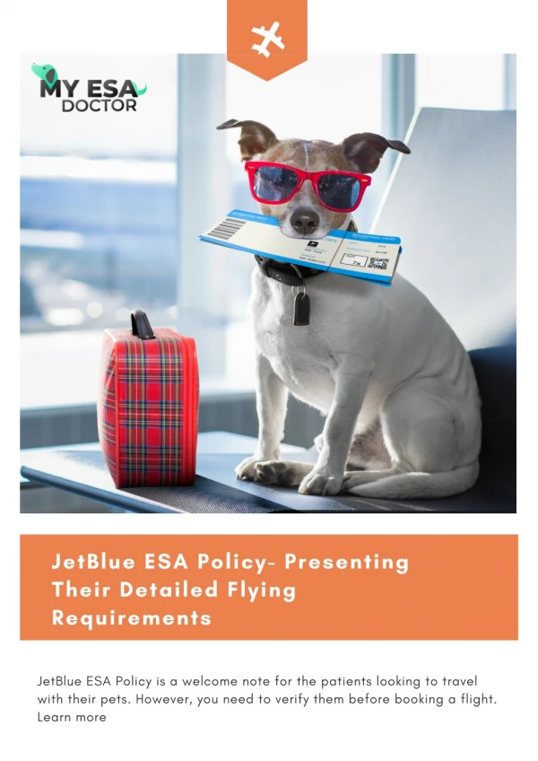 JetBlue ESA Policy- Presenting Their Detailed Flying Requirements