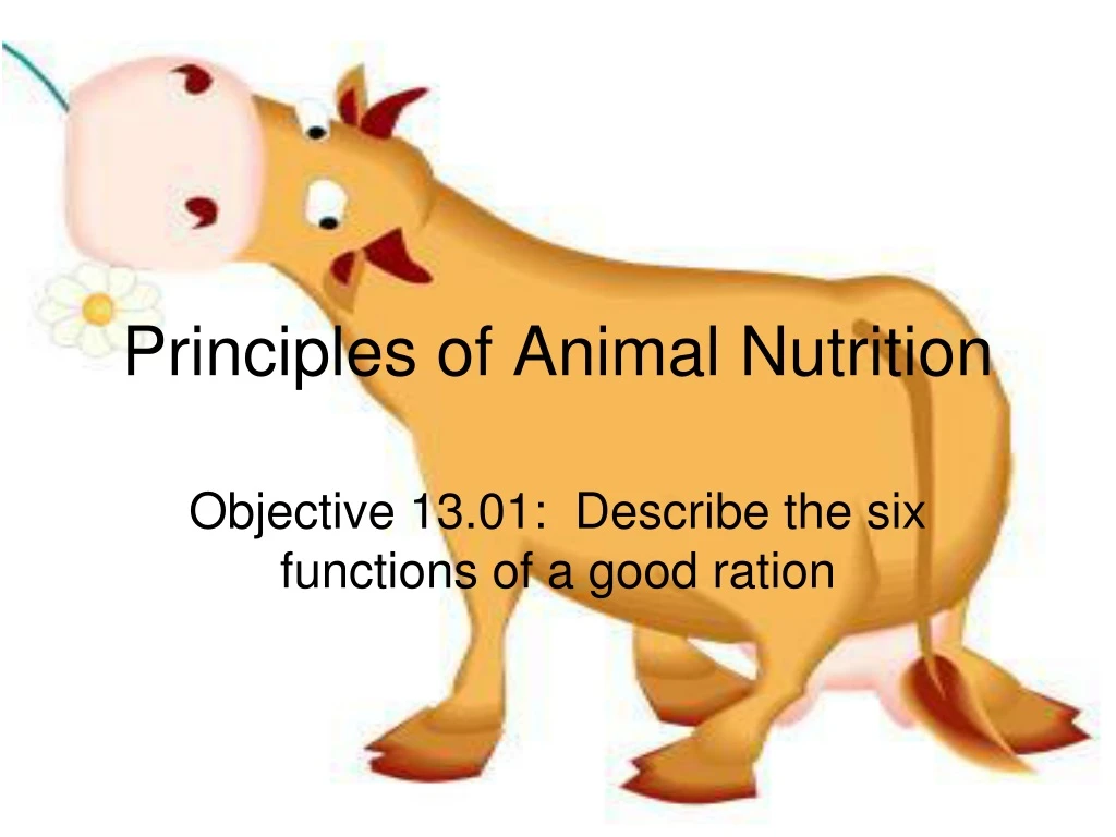principles of animal nutrition
