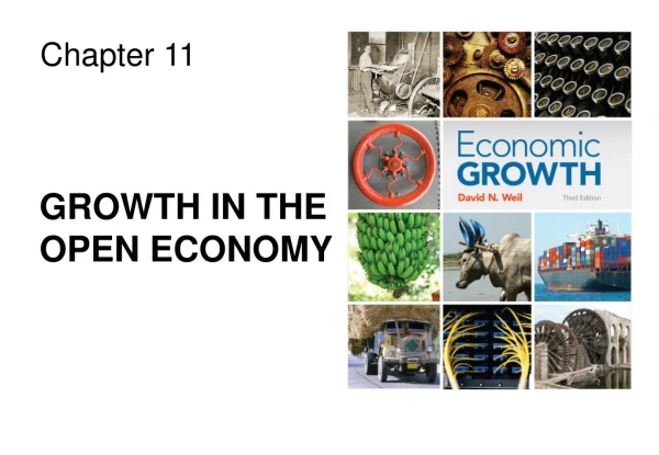 GROWTH IN THE OPEN ECONOMY