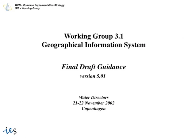Working Group 3.1 Geographical Information System