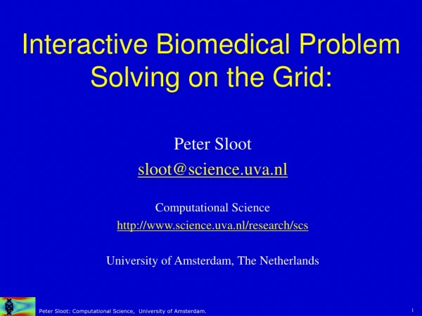 Interactive Biomedical Problem Solving on the Grid: