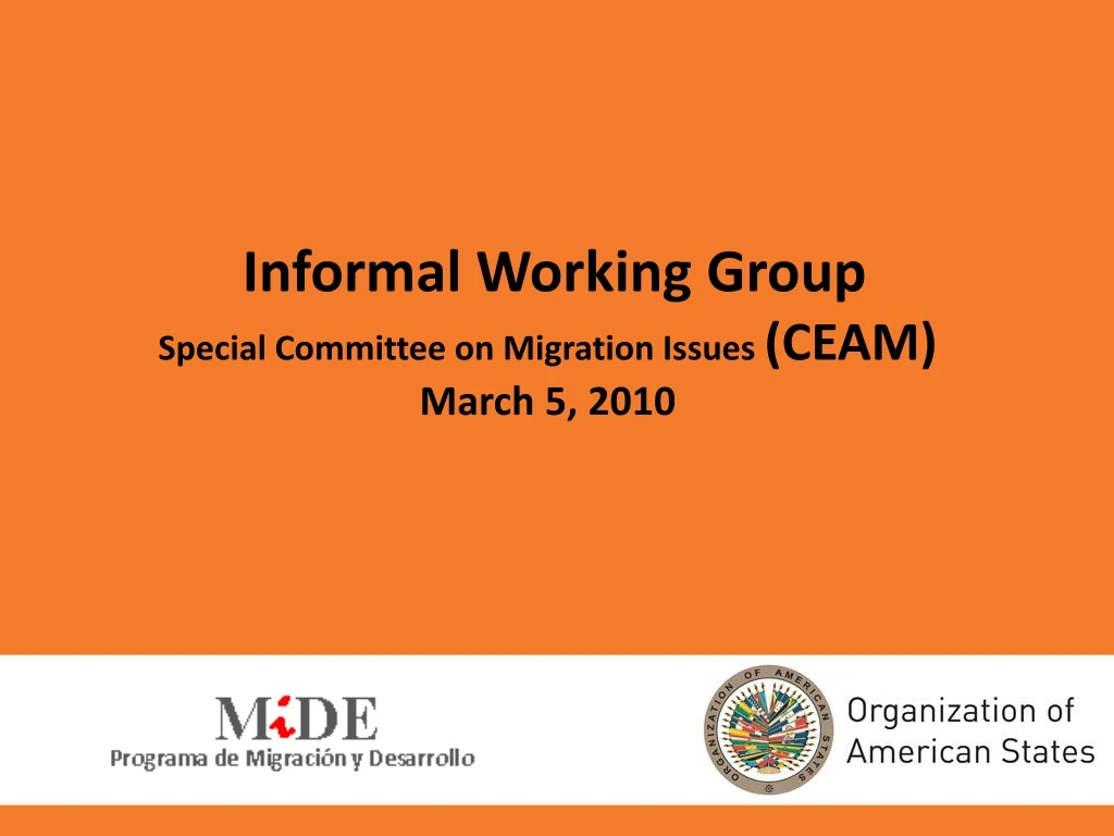 informal working group special committee