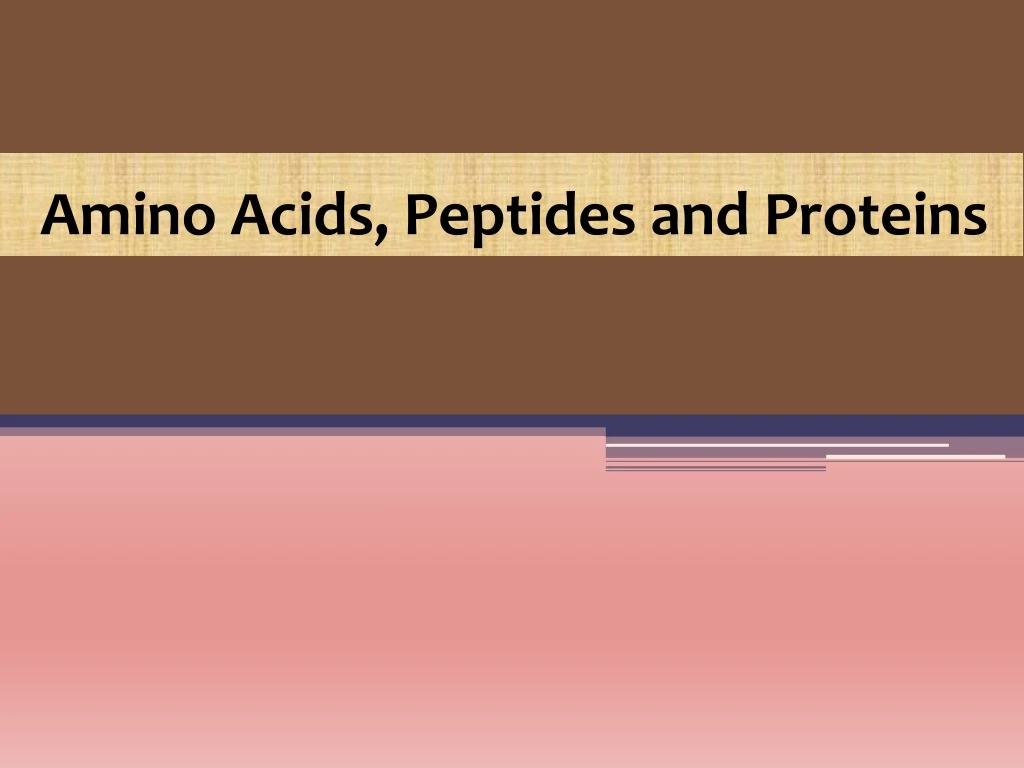 amino acids peptides and proteins