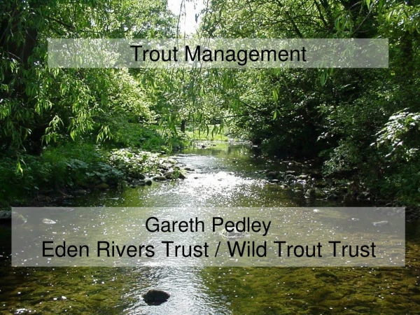 Gareth Pedley Eden Rivers Trust / Wild Trout Trust