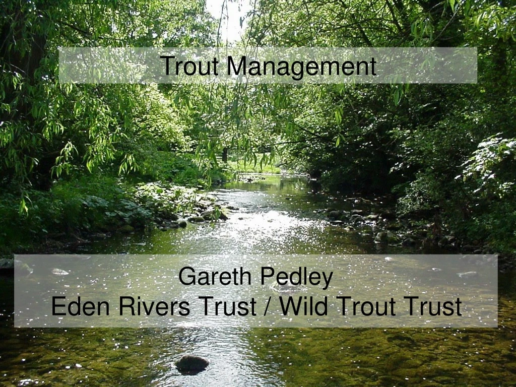 gareth pedley eden rivers trust wild trout trust